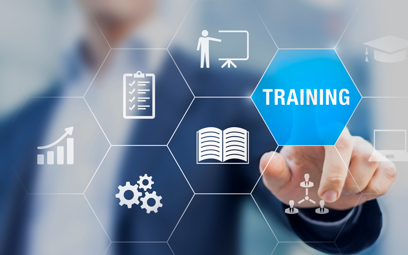 IT and Digital Skills Training
